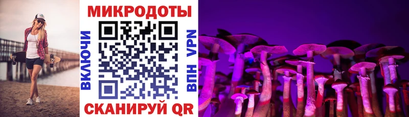 Псилоцибиновые грибы мицелий  Тында 